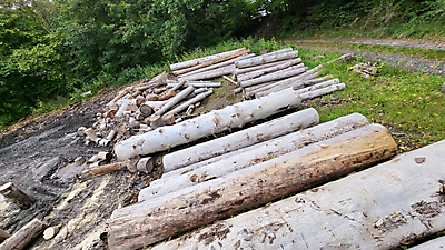Brennholz für das Ahrtal